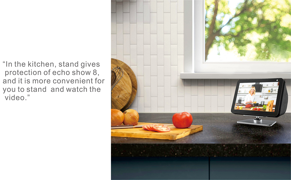 alexa stand