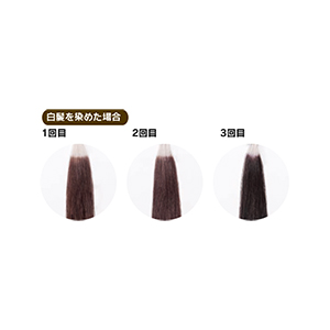 カラートリートメント 4本セット 200g ブラシ付き Amazon | ヴァーナル ヘアカラートリートメント 200g ブラシ付き