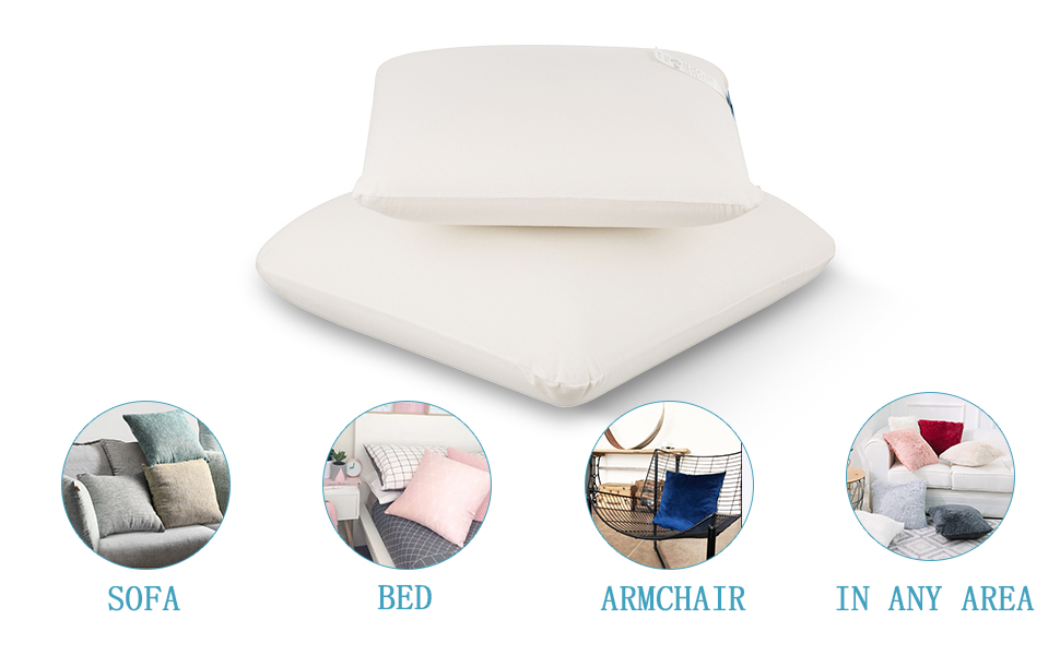 AM AEROMAX 16 ×16 Pillow Insert Memory Foam Throw Pillow Insert Sham