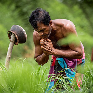 Pfeffer Grüner-Kardamom Kardamomkapseln Bio-Kardamom Gewürz Biogewürze Nachhaltig Ökoanbau