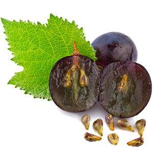 grape extract serum