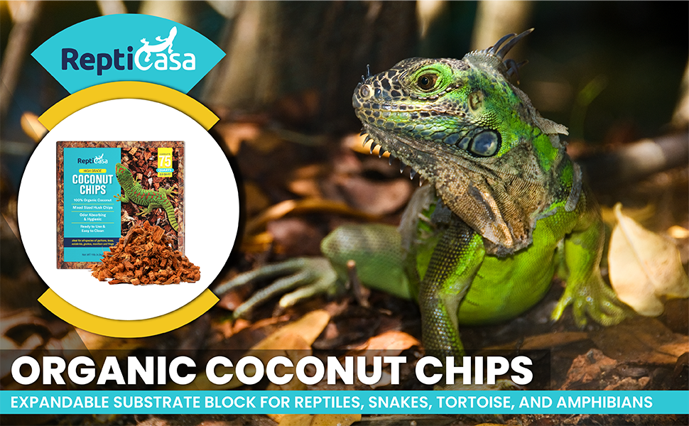 ReptiCasa Organic Coconut Chips Expandable Substrate Block for Reptiles, Snakes, Tortoise