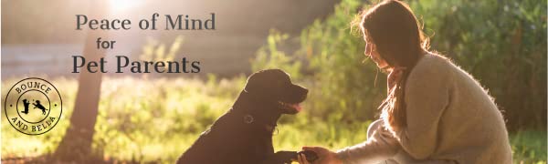 Gesunde und natürliche Hunde-Leckerlies und Kauen.