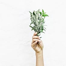 Aftersun Körperbutter Naturkosmetik Biologisch Ohne Zusätze Ohne Chemie Kinder Empfindliche Haut