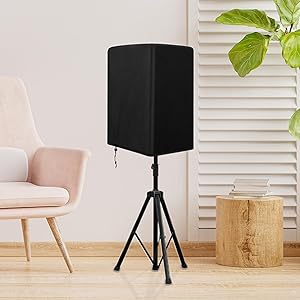 Ideal Speaker Protection