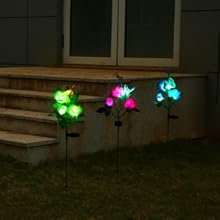 Solar Walkway Lights