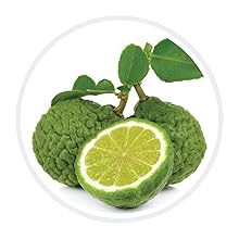 bergamot