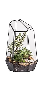 geometric terrarium