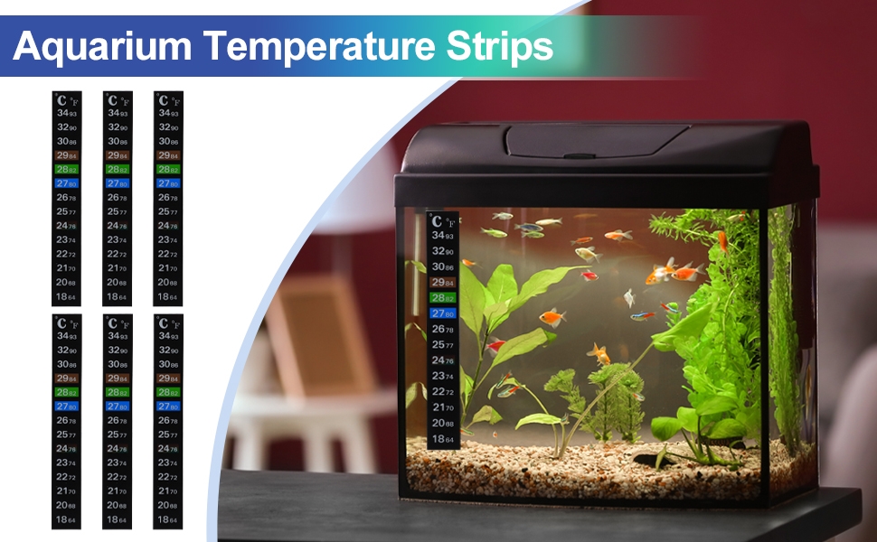 Standard Image Header With Text