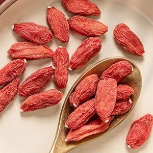 xinjiang jujube