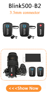 2.4GHz Wireless Microphone System