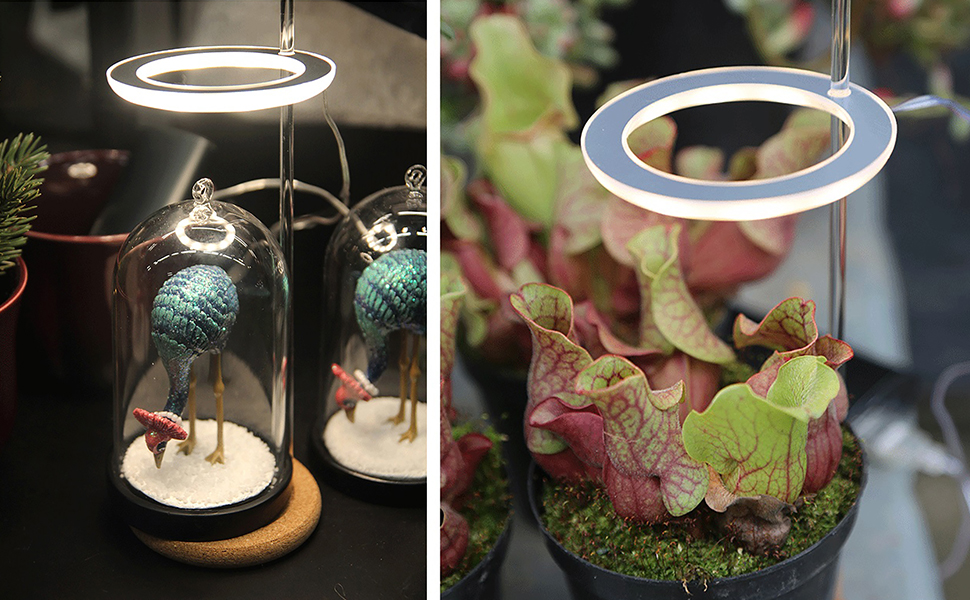 Small Grow Light, Full Spectrum Led Mini Desk Grow Light