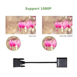 CableDeconn Active DVI-D Link 24+1 to vga Cable Adapter Converter