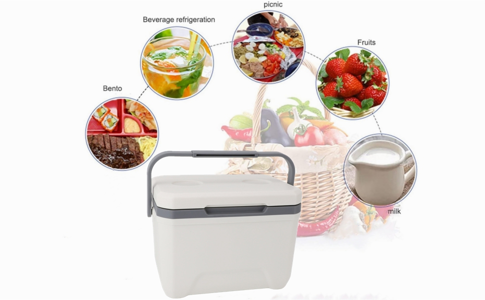 Insulated Portable Hard Cooler