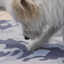 chew resistant dog bed