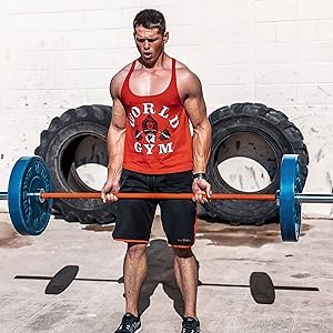 American Barbell(アメリカンバーベル) EZカールジムバー EZ Curl Gym Bar – American Barbell