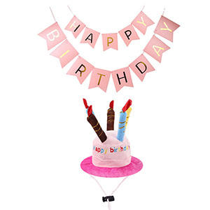 Chapeau D Anniversaire Pour Animaux De Compagnie Et Banniere Joyeux Anniversaire Rose Pour Fille Chien Chat Animal De Compagnie Chien Chat Anniversaire Fete Decorations Accessoires Amazon Fr Animalerie