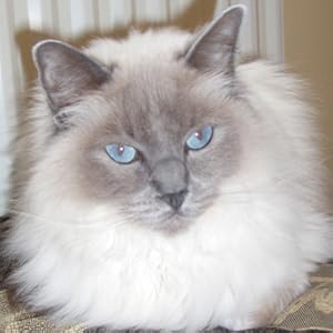 Small manufacture image 8