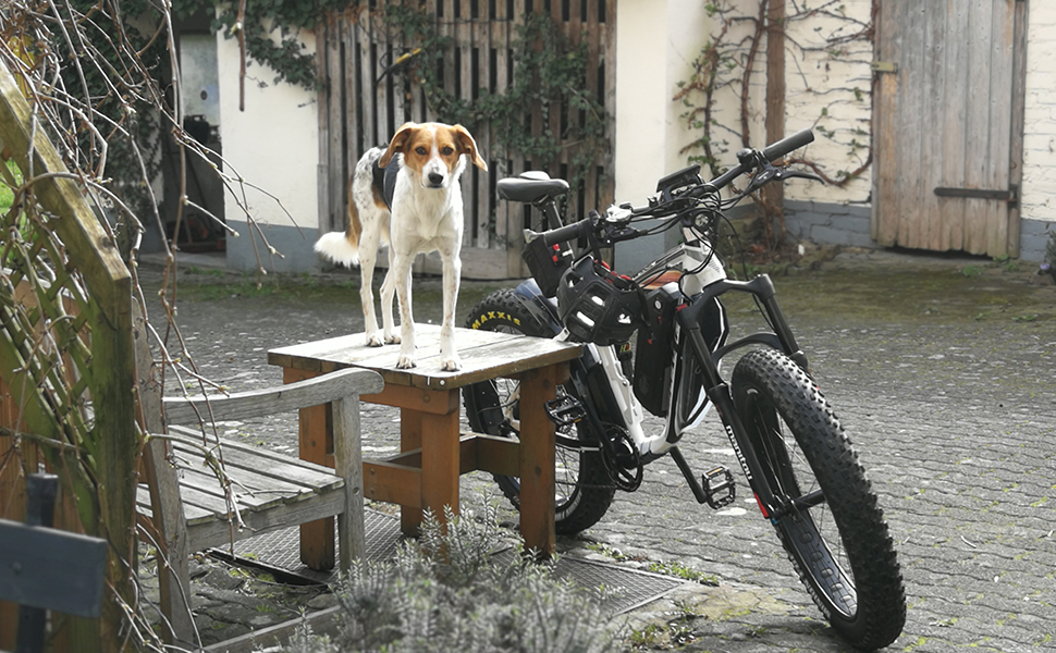 cyrusher fat tire electric bike 1000w