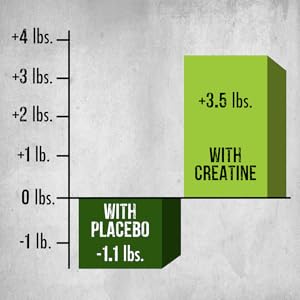 fitness labs german creatine muscle gain chart -1.1 lbs with placebo +3.5 lbs with creatine 