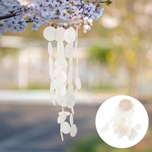 海を感じる硝子のバルーン&シェルリース二点セット Amazon.co.jp: イケチョウ貝 パールシェル 浄化 セット ホワイト