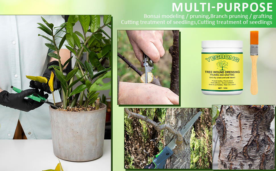 Gambar penggunaan sealant luka potong bonsai dalam pembahasan tips memilih dan mengaplikasikan sealant untuk bonsai anda