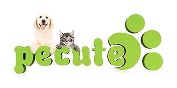 猫 犬 爪やすり