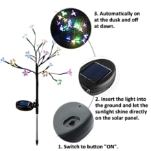 solar light