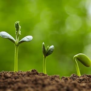 Small manufacture image 8