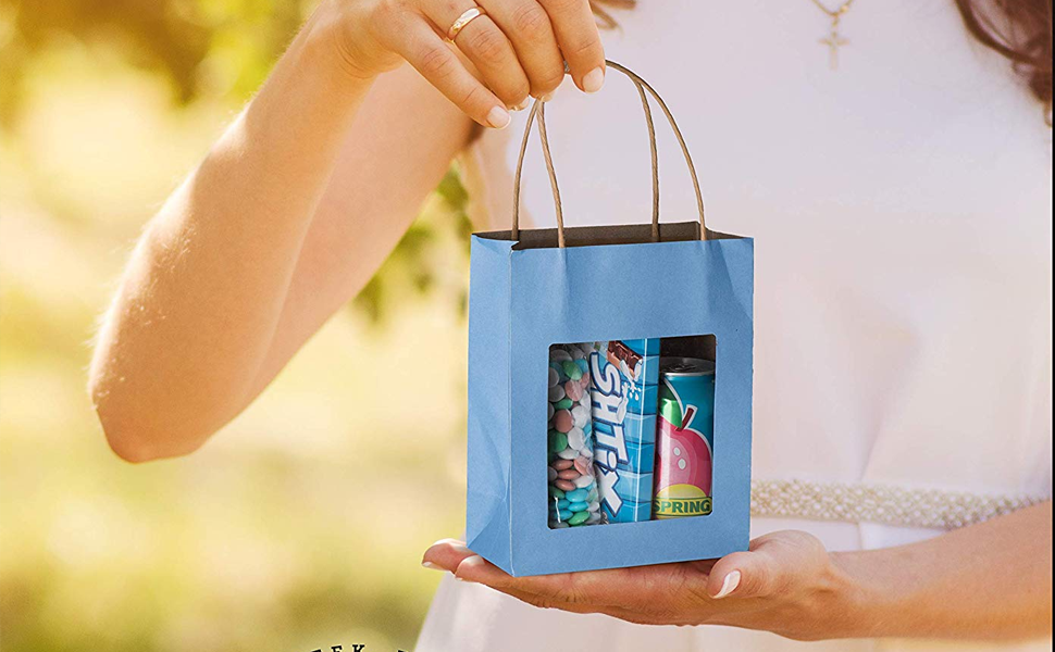 Hammont Blue Kraft Paper Bag with Window (10 Pack) Food