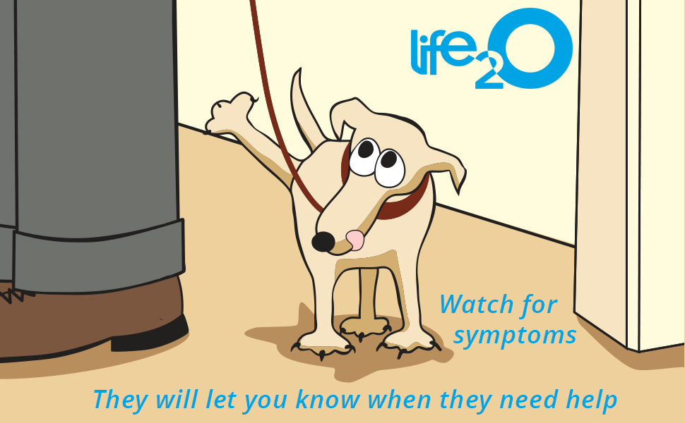 life2o pet urine strips symptoms