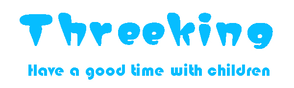 Threeking rc car toys gifts presents