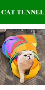 cat  tunnel