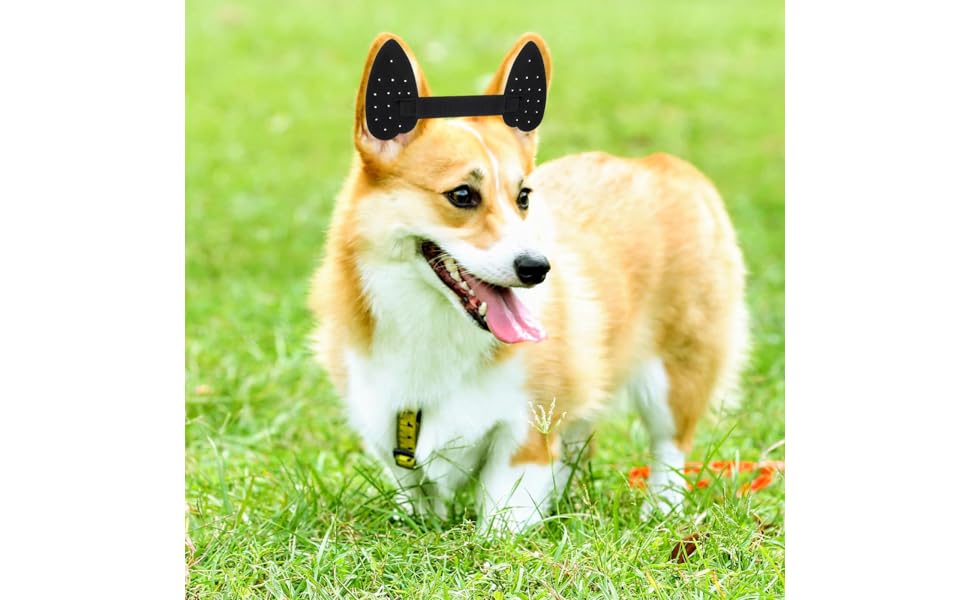 Hohopeti Sticker Holder 1 Set Dog Ear Plastic Dog Ear