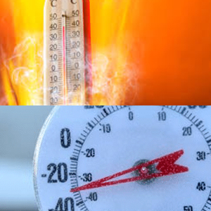 triax gear oil, gear oil, 75w90, 75W140