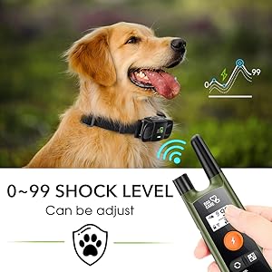 dog care dog training collar with remote training collar for dogs 