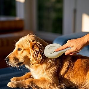 Effortless Coat Management