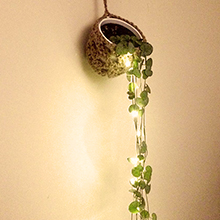 ledストリングライト