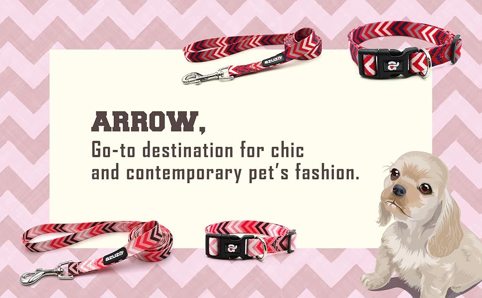 azuza Dog Collar and Leash Set, Adjustable Nylon Collar
