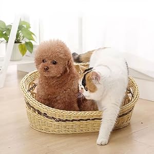 charcoal air purifying bag for large rooms