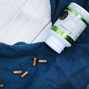 Nature restore coriolus versicolor mushroom turkey tail supplement immune health