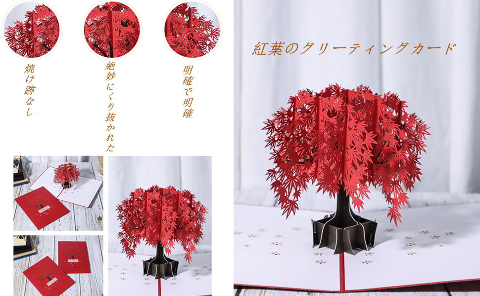 Amazon | 紅葉のグリーティングカード 誕生日カード
