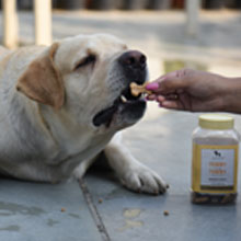 Dog biscuit