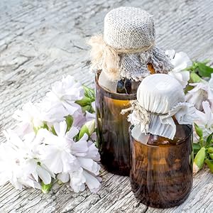 Amazon | STANLIC クリアスパ【500ml お得な詰め替え2.5本分