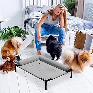 犬のベッド、高架犬のベッド