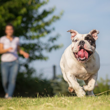 Small manufacture image 5