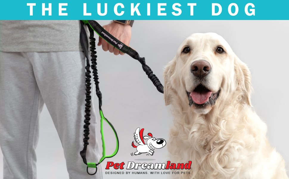 Pet Dreamland Hands Free Leash for Running Large Dogs Waist Dog Leash
