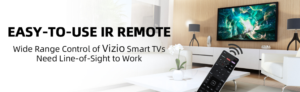 Vizio remote control