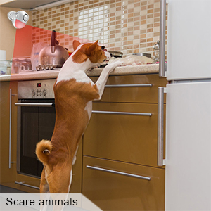 Small manufacture image 6