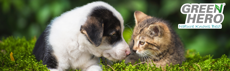 Green Hero Nibble EX